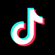 TikTok Icon
